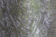 Rodbourne Bottom fibreglass roof work